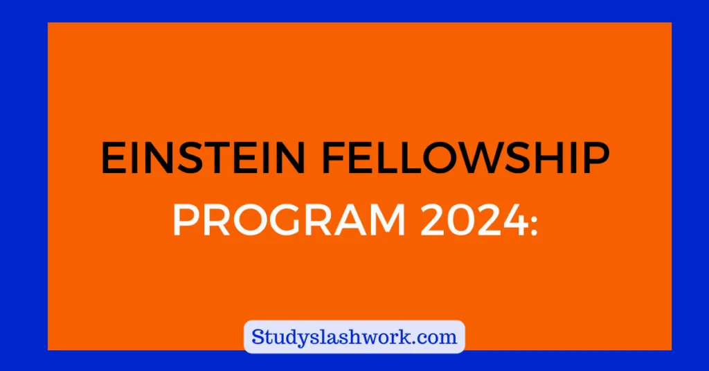 EINSTEIN FELLOWSHIP PROGRAM 2024