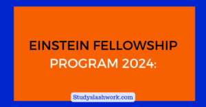 EINSTEIN FELLOWSHIP PROGRAM 2024