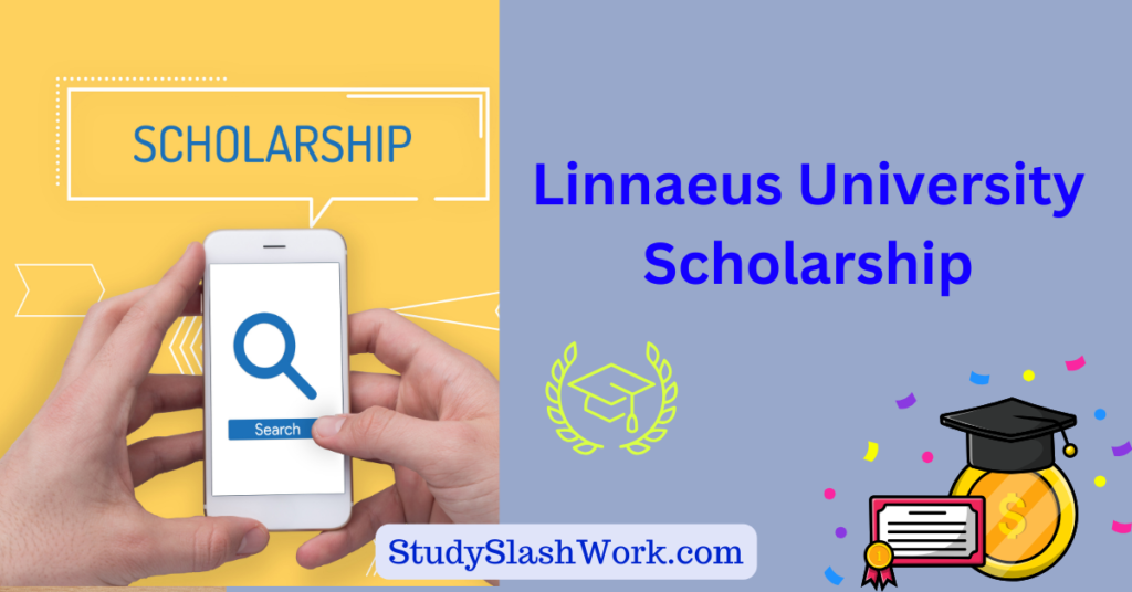 Linnaeus University Scholarship