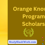 Orange Knowledge Programme Scholarship