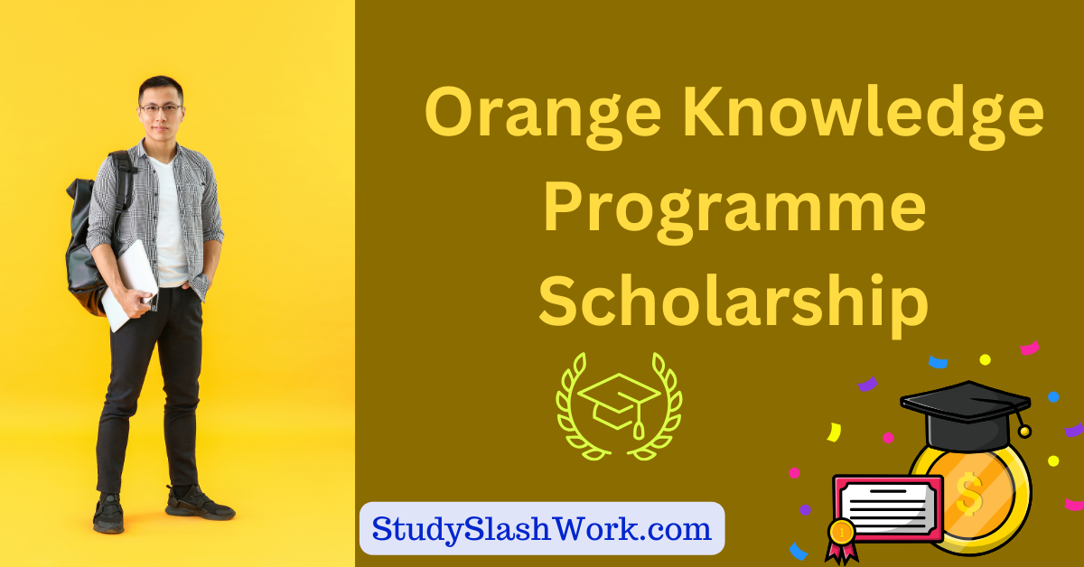 Orange Knowledge Programme Scholarship