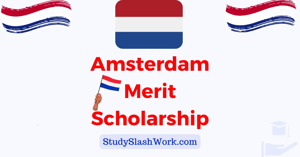 Amsterdam Merit Scholarship