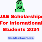 uae scholarships for international students 2024